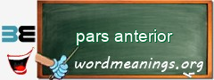 WordMeaning blackboard for pars anterior